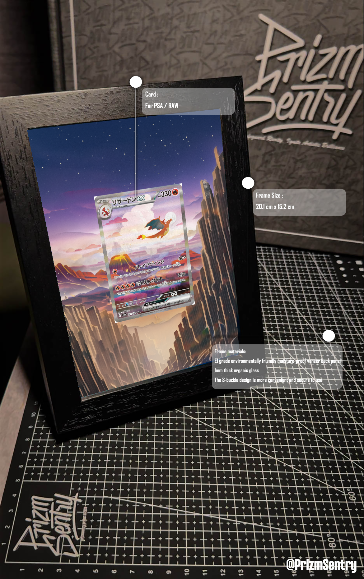 0009-Charizard ex SAR [SV2a 201/165](Enhanced Expansion Pack "Pokemon Card 151")  Art Frame