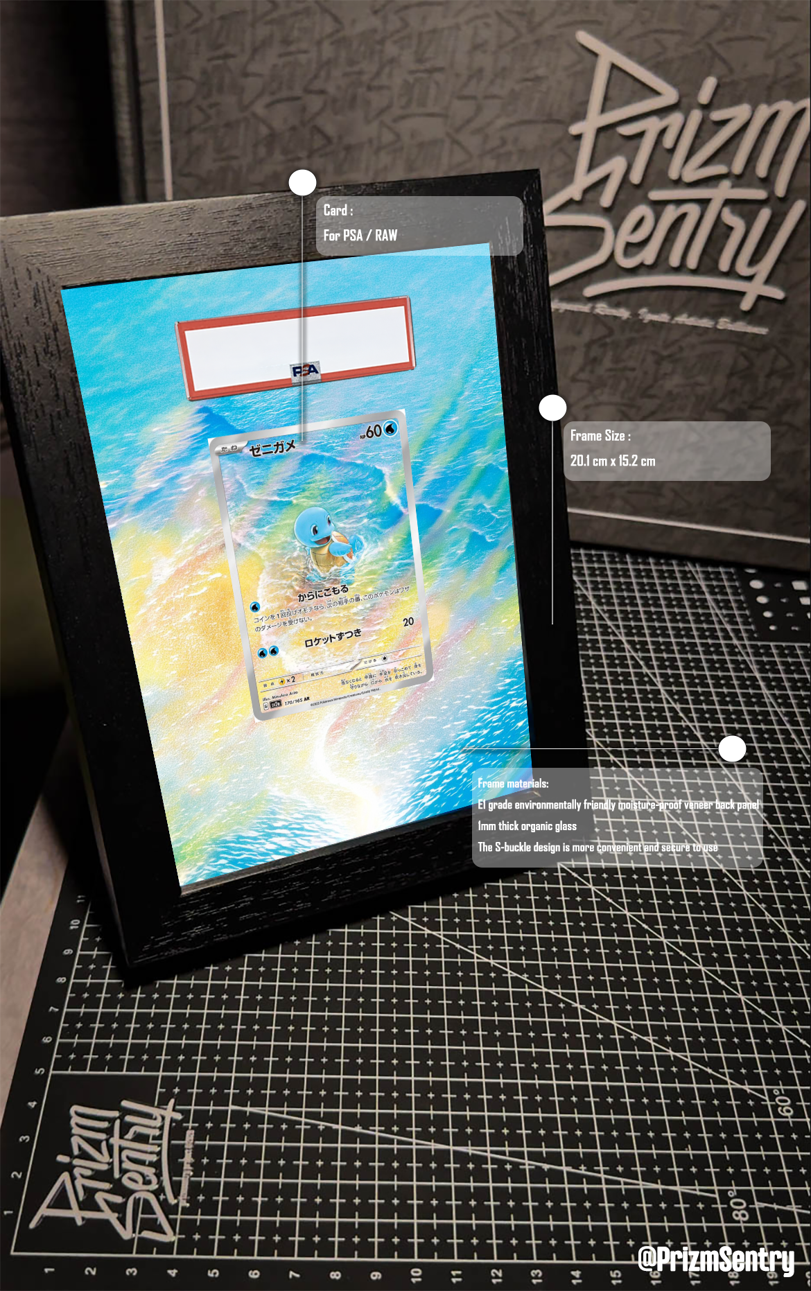 0031-Squirtle AR[SV2a 170/165](Enhanced Expansion Pack "Pokemon Card 151") Art Frame