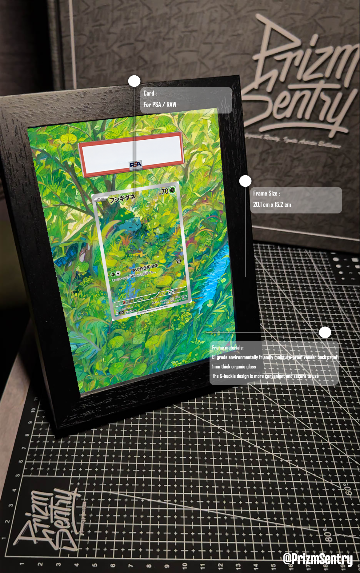 0034-Bulbasaur AR[SV2a 166/165](Enhanced Expansion Pack "Pokemon Card 151") Art Frame