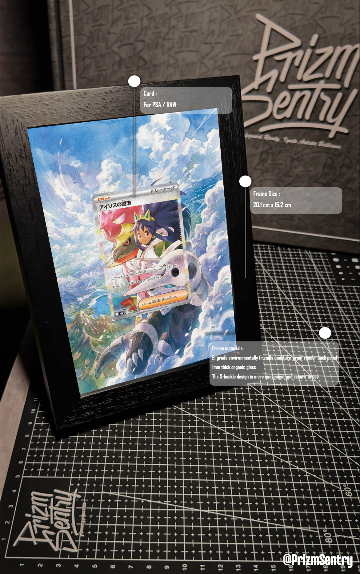 0043-Iris's Fighting Spirit #247 Pokemon Japanese Mega Dream ex Art Frame