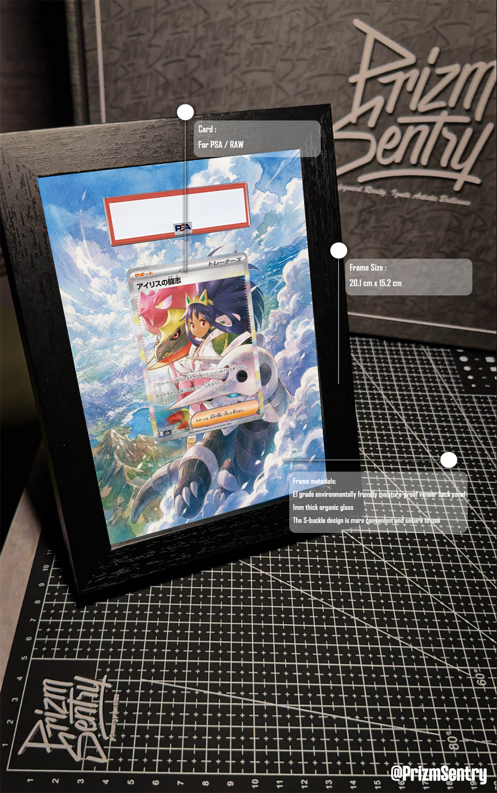 0043-Iris's Fighting Spirit #247 Pokemon Japanese Mega Dream ex Art Frame